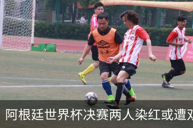 阿根廷世界杯决赛两人染红或遭双重处罚 希勒怒斥恶心怒批毫无底线